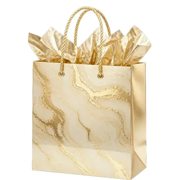 Paper gift bag — Lizaro