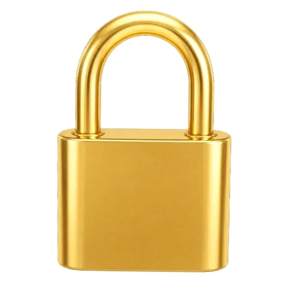 Orange padlock — Lizaro