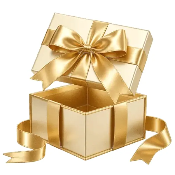 Open gift box — Lizaro