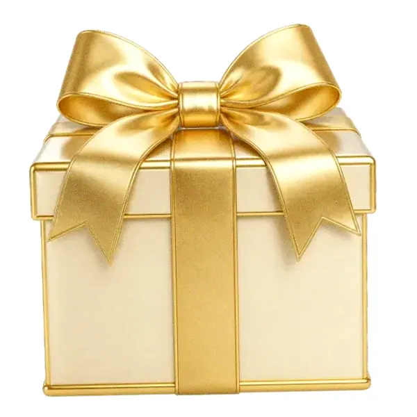 Wrapped gift box — Lizaro