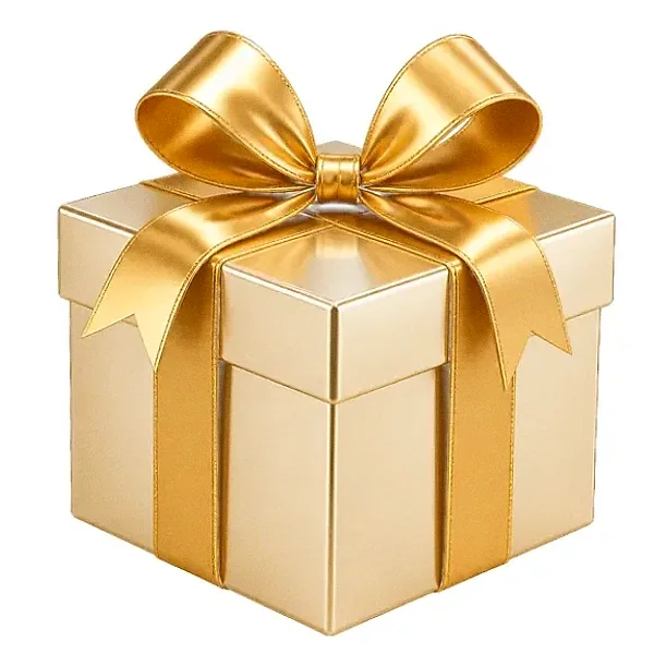 Gift box — Lizaro