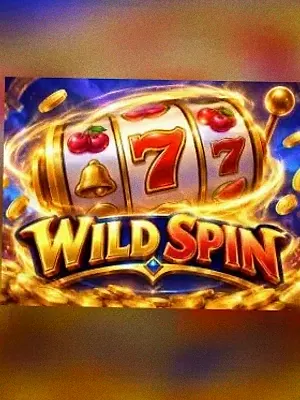Wild Spin at Lizaro