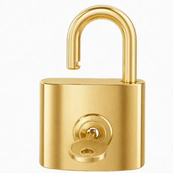 Open padlock — Lizaro