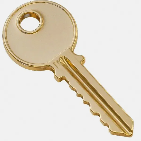 Metal key — Lizaro