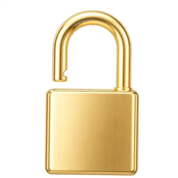 Padlock — Lizaro
