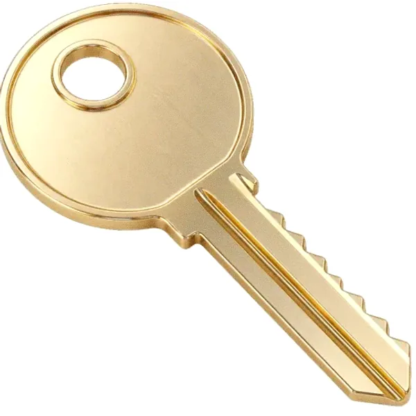 Round key — Lizaro