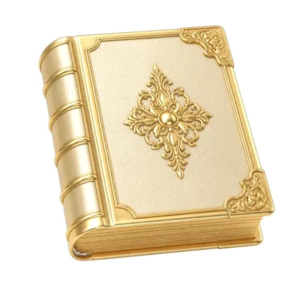 Leather-bound book — Lizaro