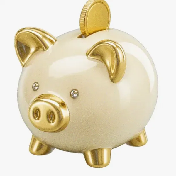 Piggy bank — Lizaro